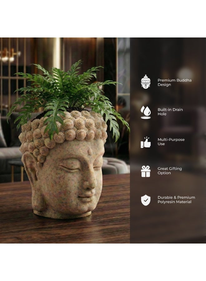 Beram Buddha Decorative Flower Pot Polyresin Peaceful Monk Planter Statue Resin Vase for Succulents Indoor Outdoor Home Office Meditation Décor Pen Pencil Holder Propagator Kit - Image 4